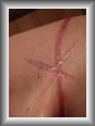 3 mois apr�s