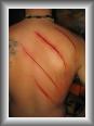 Fra�chement termin�