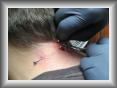 Derni�re bille